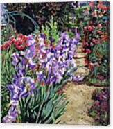 Monet's Irises #1 Canvas Print