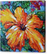 Orange Hibiscus Canvas Print