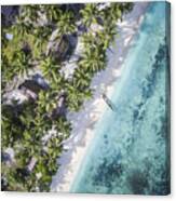 Overhead View Of Trees On Shore By Sea #1 Canvas Print