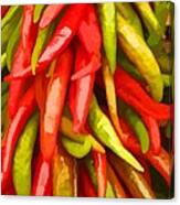 Painted Peppers #1 Canvas Print