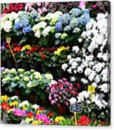 Paris Flower Market #1 Canvas Print