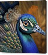 Peacock Closeup With Feathers Fanned Out In Background #1 Canvas Print
