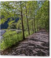 Pine Creek Trail #1 Canvas Print