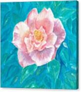 Pink Rose #1 Canvas Print