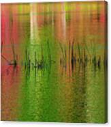 Red And Green Colors Reflection In Water #2 Canvas Print