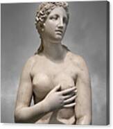 Roman Statue Of Aphrodite  Or Venus - Naples Museum Of Archaeology Italy Canvas Print