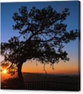 Silhouette Of A Forest Pine Tree During Blue Hour With Bright Sun At Sunset. #1 Canvas Print