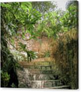 Steps Near Cenote - Chichen Itza Canvas Print