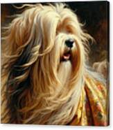 Tibetan Terrier Head Study  #2 Canvas Print