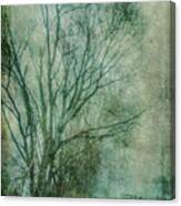 Tree Mist #1 Canvas Print