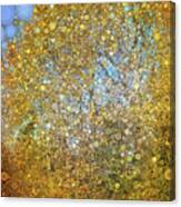 Tree Of Gold #1 Canvas Print