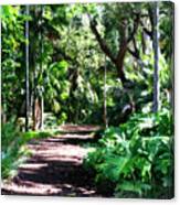 Tropical Garden -1 #1 Canvas Print