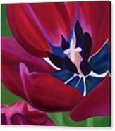Tulips #1 Canvas Print