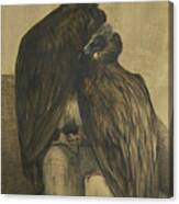 Two Arabian Vultures #1 Canvas Print