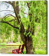 Under The Weeping Willow  #1 Canvas Print