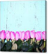 Vintage Aqua Blue Wood Background With Pink Rose Buds. #1 Canvas Print