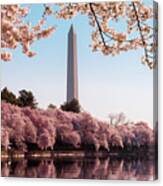 Washington Monument Towers Above Blossoms #1 Canvas Print