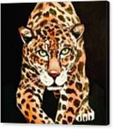 Wild Cat #1 Canvas Print