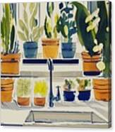 Windowsill Garden Iv #1 Canvas Print