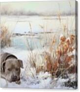 Winter Delight #1 Canvas Print