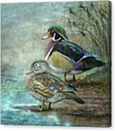Wood Ducks #1 Canvas Print
