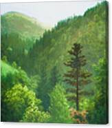 Wooded Landscape #2 Canvas Print