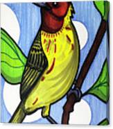 Yellow Warbler #1 Canvas Print