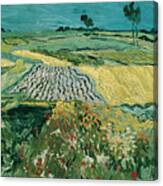 The Plain Of Auvers By Vincent Van Gogh Canvas Print