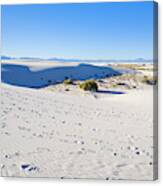 White Sands Gypsum Dunes #13 Canvas Print