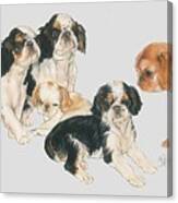 English Toy Spaniel Puppies Canvas Print