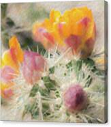 1620 Watercolor Cactus Blossom Canvas Print