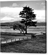 18th At Pebble Beach Panorama Black And White Canvas Print