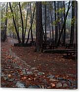 Autumn Landscape With Trees And Autumn Leaves On The Ground After Rain #7 Canvas Print