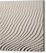 Background Of Sand Dunes Canvas Print