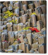 Basalt Pillars In Greenland With Fall Color #1 Canvas Print