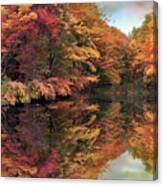 Foliage Reflections Canvas Print