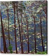 Glendalough Upper Lake #2 Canvas Print