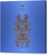 Kaleidoscopic Image of Winter Tree branches Canvas Print