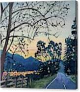 Old Sycamore On Lake Vista - Dusk Canvas Print