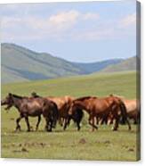 Nature In Mongolia #2 Canvas Print