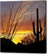Tucson Arizona Sunset #2 Canvas Print