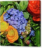 2020 Hyacinth With Persian Buttercups Canvas Print