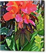 2020 Mid June Garden Canna With Nicotiana Canvas Print