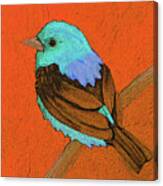 21 Turq Scarlet Tanager Canvas Print