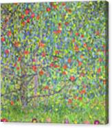 Rolled Forest Tree Apple by Gustav KlimtCanvas Set Of 3 Wall art HD