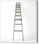Extendable Step Ladder  #3 Canvas Print