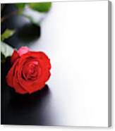 Red Rose On Black And White Background Canvas Print