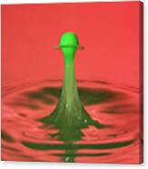 Water Drop Falling Onto Column Of Water Canvas Print