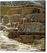 Yellowstone Np - Mammoth Hot Springs #5 Canvas Print