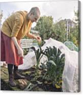 Young Woman Harvesting Vegetables #3 Canvas Print